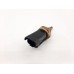 Sensor Temperatura Água Arrizo 6 2022 D4g15b-3611043